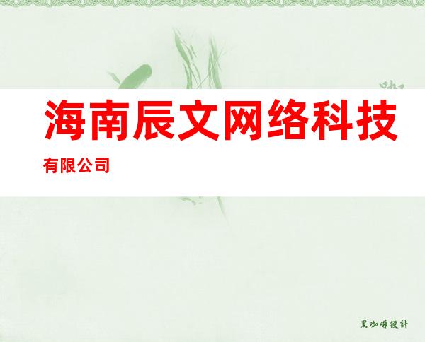 海南辰文网络科技有限公司