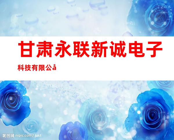 甘肃永联新诚电子科技有限公司